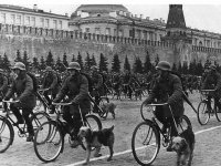 1941_Airedales_Russian.jpg