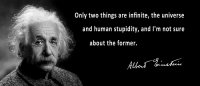 albert-einstein-speaks-about-human-stupidity-daniel-hagerman.jpg