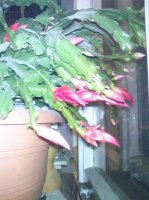 DSC00056.JPG