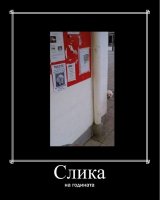 godina.jpg
