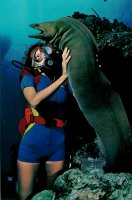 9 (19).jpg