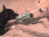 DSC00475.JPG