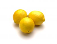 04.16.07.lemons[1].jpg