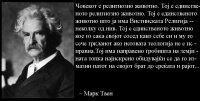 мт13445538_1352149124802204_7676739476383208149_n.jpg