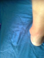 Picture 2746.jpg
