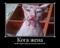 65.jpg