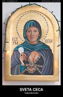 sveta-ceca.jpg