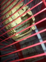 20160801_114405.jpg