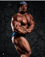 Roelly1.jpg