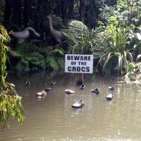 angry-crocs.jpg