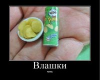 cips.jpg