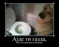 gazda.jpg