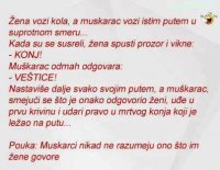 Konj , Vestica.jpg