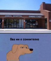 ova.jpg