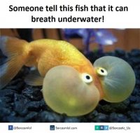 FB_IMG_1472650176986.jpg