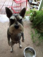 tumblr_od2n793SIi1qzhjh2o1_500.jpg