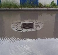 Една слика.JPG