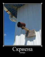 skriena.jpg