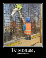 molam.jpg
