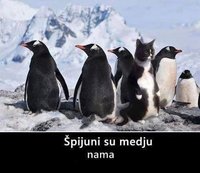 1.JPG