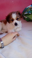 20170223_130255.jpg