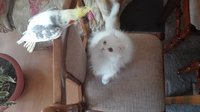 IMG_20170321_112442.jpg