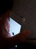 17916668_1821526184530445_658810633_o.jpg