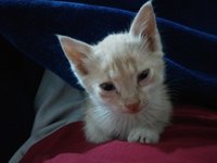 IMG_20170423_185802.jpg