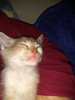 IMG_20170423_215229.jpg
