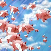 pigs_fly.jpg