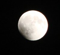 DSC04498.jpg