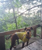 IMG_20170426_192456_933.jpg