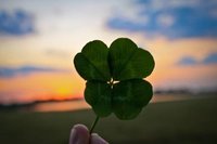 Slika za pesna ''Detelinka so 4 lista''.jpg