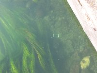 20170517_084409.jpg