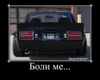 boli-2.jpg