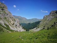 IMG_20170625_111529.jpg