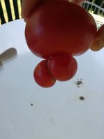IMG_20170709_143935.jpg