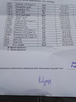 IMG_20170722_084500.jpg