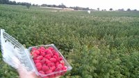 20170725_195630.jpg