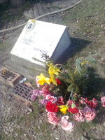 Picture 106.jpg