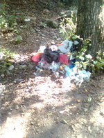 Picture 3297.jpg