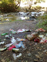 Picture 3327.jpg