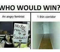 who-would-win-an-angry-feminist-1-thin-corridor-no-21720213.png