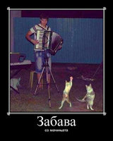 zabava.jpg