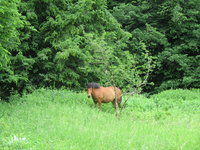 IMG_2537.JPG