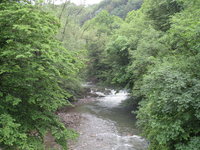 IMG_2525.JPG