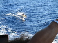IMG_3259.JPG