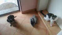 20170909_124403.jpg