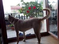DSCN4939.jpg