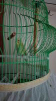 IMG_20171006_134302.jpg